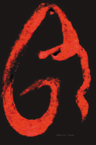 SIGNET111143